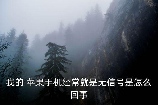 我的 蘋果手機(jī)經(jīng)常就是無信號是怎么回事