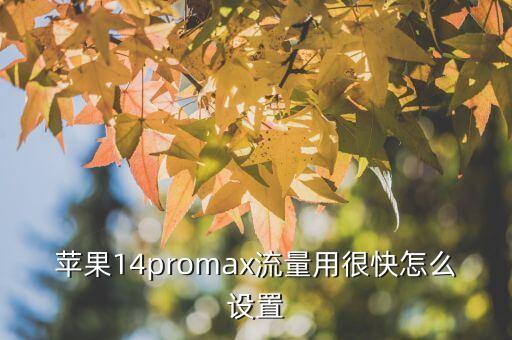 iphone數(shù)據(jù)使用量,如何清理iphone8內(nèi)存?