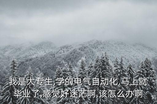 電氣自動化大專生心得,電氣自動化大專生出路是什么?