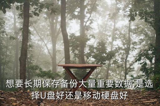 想要長(zhǎng)期保存?zhèn)浞荽罅恐匾獢?shù)據(jù),是選擇U盤(pán)好還是移動(dòng)硬盤(pán)好