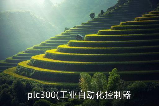 自動化設(shè)備組裝調(diào)試流程圖解,自動化設(shè)備安裝與調(diào)試第四學(xué)期
