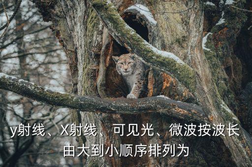 y射線、X射線、可見光、微波按波長由大到小順序排列為