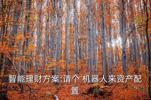 智能理財(cái)方案:請(qǐng)個(gè) 機(jī)器人來(lái)資產(chǎn)配置