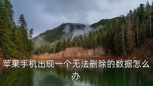 蘋(píng)果手機(jī)出現(xiàn)一個(gè)無(wú)法刪除的數(shù)據(jù)怎么辦