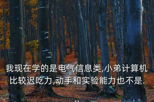我現(xiàn)在學的是電氣信息類,小弟計算機比較遲吃力,動手和實驗能力也不是...