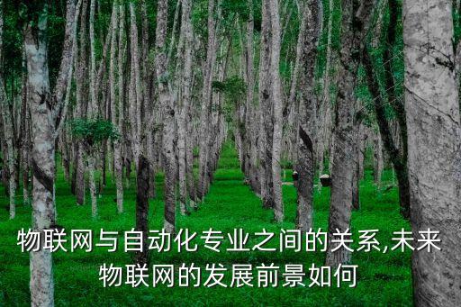 物聯(lián)網(wǎng)與自動(dòng)化專業(yè)之間的關(guān)系,未來(lái)物聯(lián)網(wǎng)的發(fā)展前景如何
