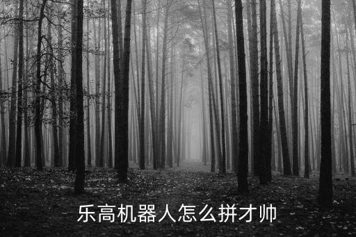 樂(lè)高機(jī)器人的頭圖片大全,怎么拼才帥?