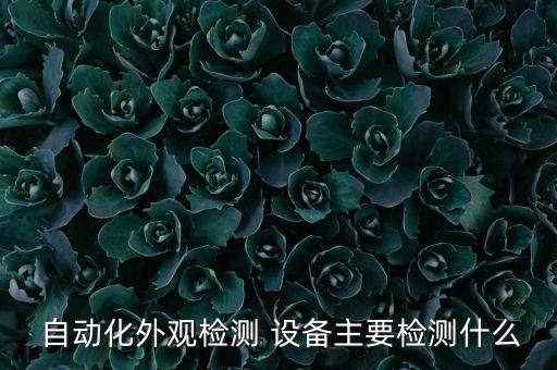 品質(zhì)自動(dòng)化檢驗(yàn)設(shè)備有哪些,非標(biāo)自動(dòng)化設(shè)備檢驗(yàn)標(biāo)準(zhǔn)