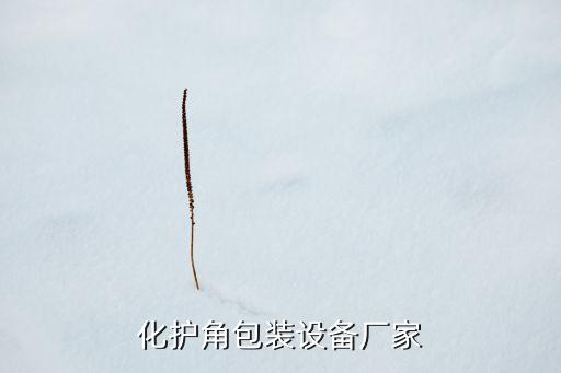 自動(dòng)化護(hù)角包裝設(shè)備廠家