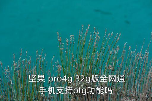 堅果pro傳輸數(shù)據(jù),2020ipad pro如何傳輸數(shù)據(jù)