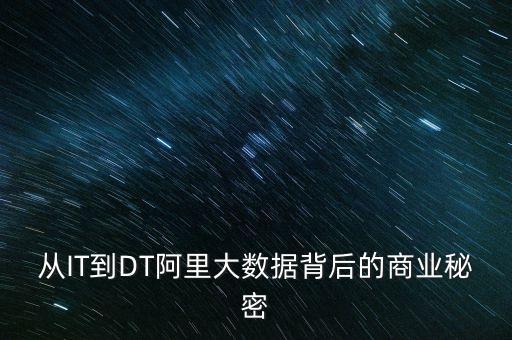 從IT到DT阿里大數(shù)據(jù)背后的商業(yè)秘密