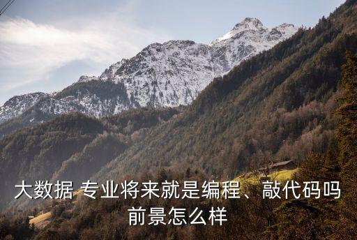 大數(shù)據(jù) 專業(yè)將來就是編程、敲代碼嗎前景怎么樣