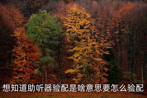 助聽器自動(dòng)化設(shè)備設(shè)計(jì)規(guī)范,