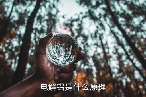 電解鋁設(shè)備自動(dòng)化,中國(guó)電解鋁-發(fā)展現(xiàn)狀及研究進(jìn)展