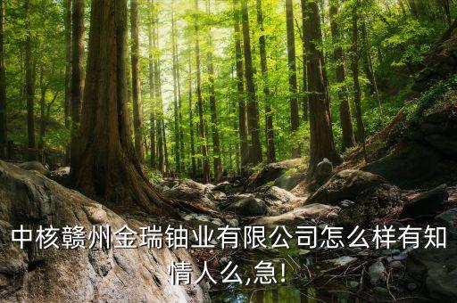 中核贛州金瑞鈾業(yè)有限公司怎么樣有知情人么,急!
