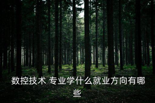  數(shù)控技術(shù) 專業(yè)學(xué)什么就業(yè)方向有哪些