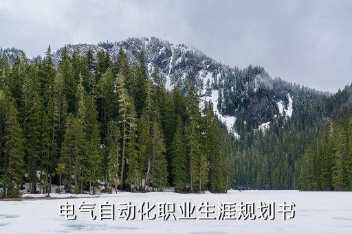 電氣自動化職業(yè)生涯規(guī)劃書