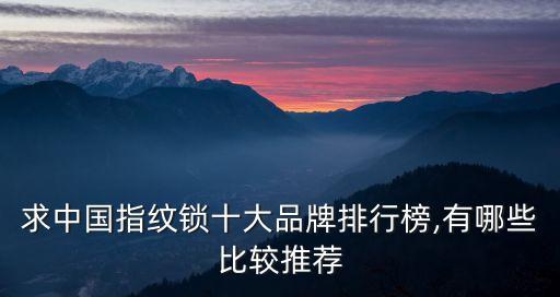 求中國指紋鎖十大品牌排行榜,有哪些比較推薦