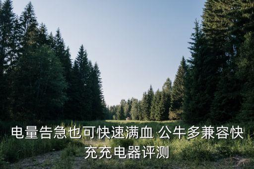 電量告急也可快速滿血 公牛多兼容快充充電器評測