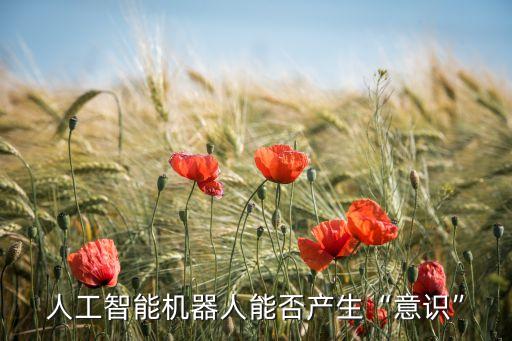 人工智能機(jī)器人能否產(chǎn)生“意識(shí)”