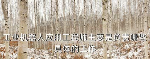 工業(yè)機(jī)器人應(yīng)用工程師主要是負(fù)責(zé)哪些具體的工作