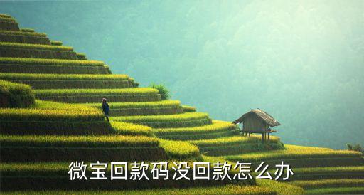 微寶回款碼沒(méi)回款怎么辦