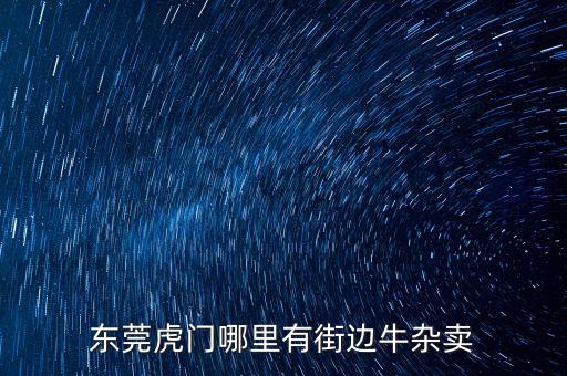 東莞虎門哪里有街邊牛雜賣