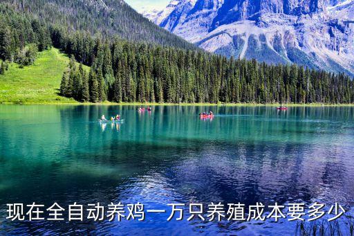 現(xiàn)在全自動養(yǎng)雞一萬只養(yǎng)殖成本要多少
