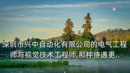深圳市興中自動化有限公司的電氣工程師與視覺技術(shù)工程師,那種待遇更...