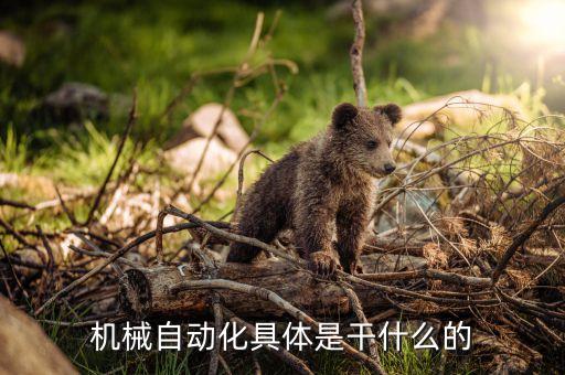 大專自動(dòng)化專業(yè)學(xué)什么,電氣自動(dòng)化技術(shù)專業(yè)主要學(xué)什么?