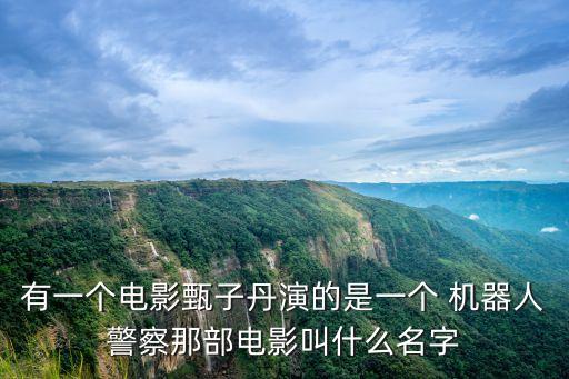 機(jī)器人交警