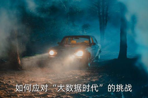 如何應(yīng)對“大數(shù)據(jù)時(shí)代”的挑戰(zhàn)