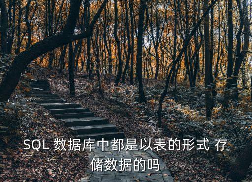 SQL 數(shù)據(jù)庫(kù)中都是以表的形式 存儲(chǔ)數(shù)據(jù)的嗎