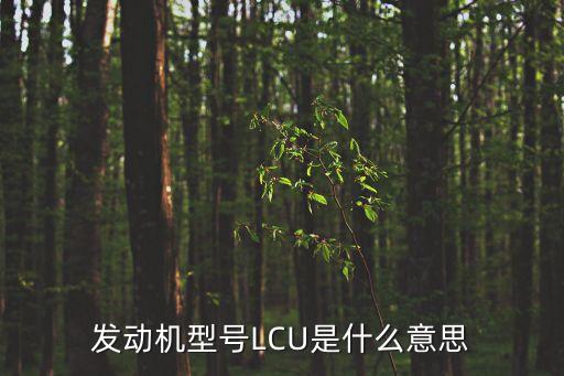 發(fā)動機(jī)型號LCU是什么意思