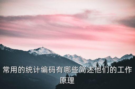常用的統(tǒng)計編碼有哪些簡述他們的工作原理
