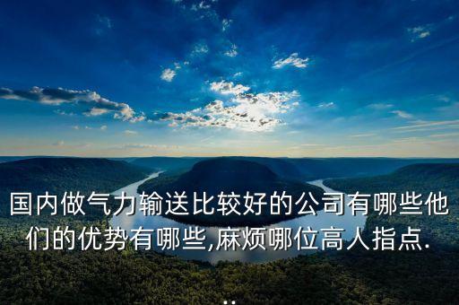 國內(nèi)做氣力輸送比較好的公司有哪些他們的優(yōu)勢有哪些,麻煩哪位高人指點...
