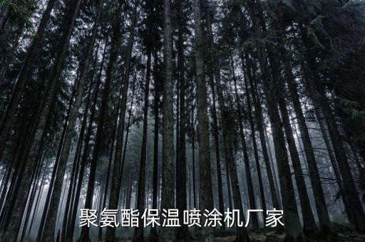 聚氨酯保溫噴涂機(jī)廠家