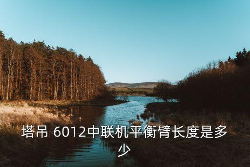 塔吊 6012中聯(lián)機平衡臂長度是多少