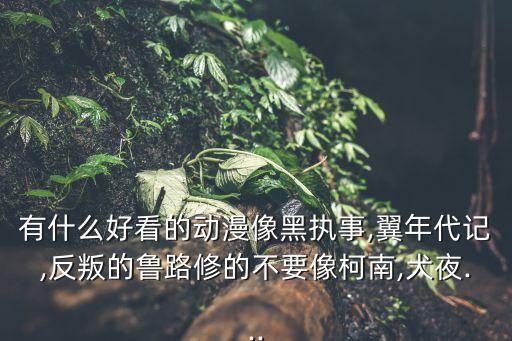 有什么好看的動(dòng)漫像黑執(zhí)事,翼年代記,反叛的魯路修的不要像柯南,犬夜...