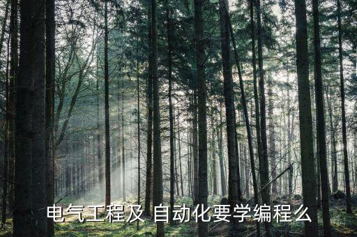 電氣工程及 自動(dòng)化要學(xué)編程么