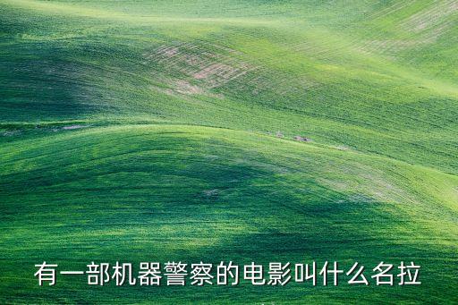有一部機(jī)器警察的電影叫什么名拉