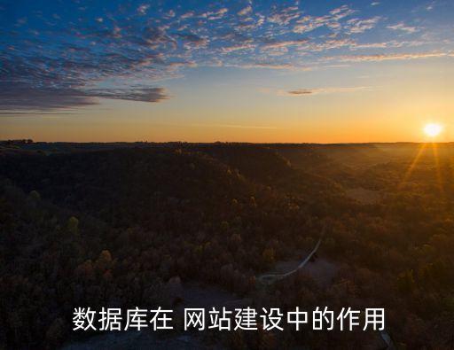  數(shù)據(jù)庫(kù)在 網(wǎng)站建設(shè)中的作用