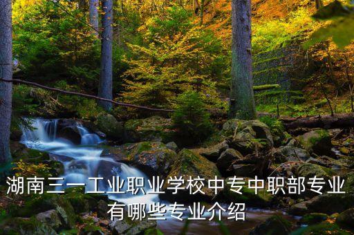 湖南三一工業(yè)職業(yè)學(xué)校中專中職部專業(yè)有哪些專業(yè)介紹