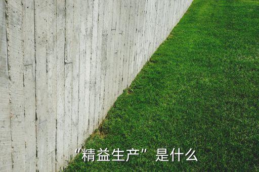 精益生產(chǎn)自動(dòng)化是指啥專(zhuān)業(yè),自動(dòng)化類(lèi)專(zhuān)業(yè)就業(yè)及深造指導(dǎo)