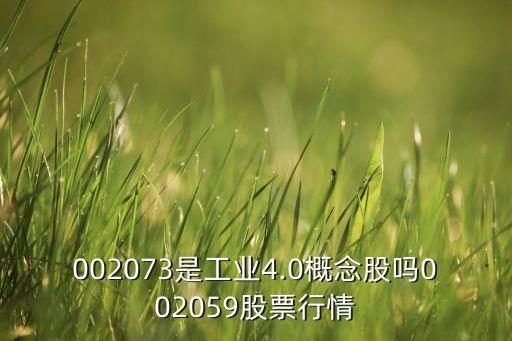 002073是工業(yè)4.0概念股嗎002059股票行情