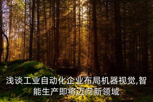 淺談工業(yè)自動化企業(yè)布局機器視覺,智能生產(chǎn)即將邁向新領域