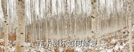 tf卡數(shù)據(jù)恢復(fù) 彈出,tf卡格式化數(shù)據(jù)怎么恢復(fù)?