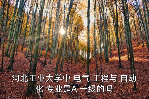 河北工業(yè)大學(xué)中 電氣 工程與 自動(dòng)化 專業(yè)是A 一級的嗎