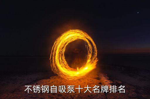 不銹鋼自吸泵十大名牌排名