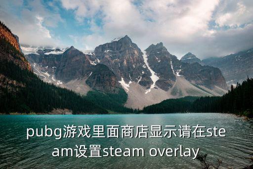 pubg游戲里面商店顯示請在steam設(shè)置steam overlay